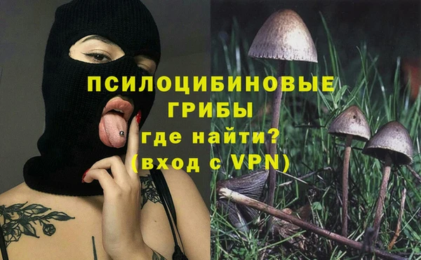СК Алзамай