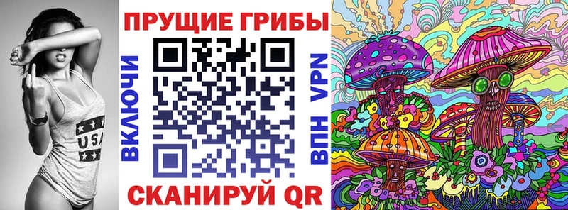 закладка  Лесосибирск  Галлюциногенные грибы Magic Shrooms 