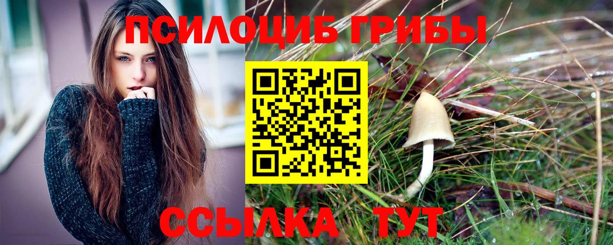 Лесосибирск  Галлюциногенные грибы прущие грибы  Вход с VPN 